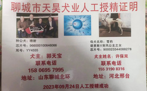 喷射X雪豹 900023344088278，NLBF1512，156111110029370.jpg