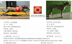非凡的碰撞X花头 900250000431973，900250000068276.jpg