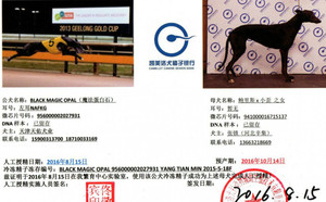 魔法蛋白石X一三七941000016715137.jpg