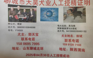 喷射X黑乌鸦 BLCH2，941000225080132.jpg