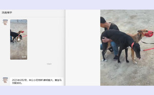 瑞风X黄宝马400123001481527.jpg