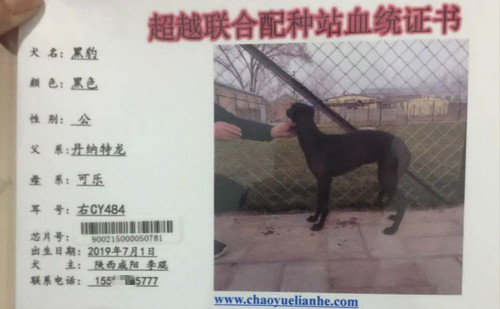 黑豹 CY484，900215000050781