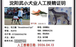 布兰德X吉格曼达 900023069708615，T538Y.jpg