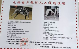 劳庭布兰可X超越清楚 900215000050694.jpg