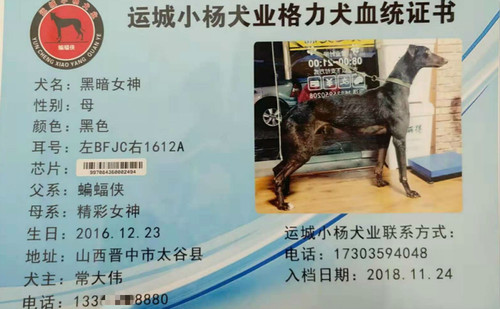 黑暗女神 BFJC 1612A，997084360002494