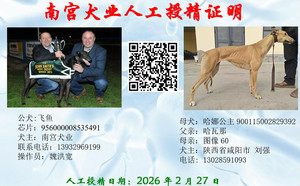 飞鱼X哈娜公主 900115002829392，NGXH1123BM.jpg