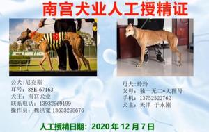 尼克斯X玲玲 941000016715092.jpg