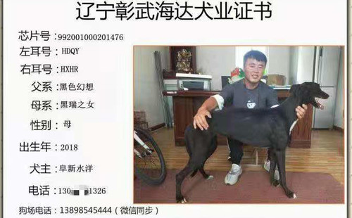 核桃 992001000201476，HDQYHXHR