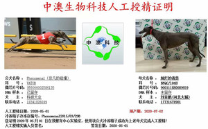 非凡的碰撞X灿烂的清楚 BFQC 104H，900111880089659.jpg