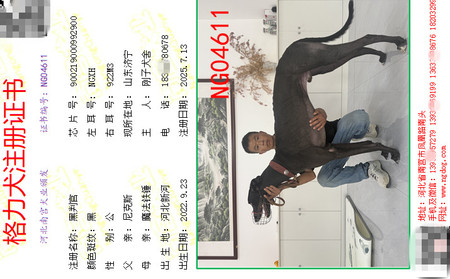 黑判官 900219000992900