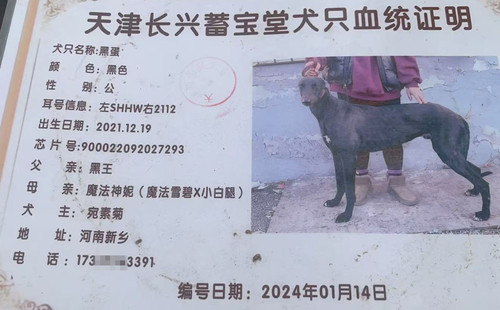 黑蛋 900022092027293，SHHW2112
