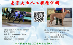 快速时代X红果 DBHJ4，900201709640133.jpg