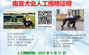 奇怪的男孩X红色里约 900158801047602.jpg