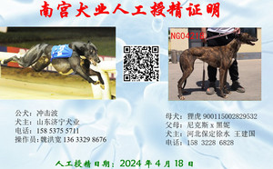 冲击波X狸虎 900115002829532，NGXH720BB1.jpg