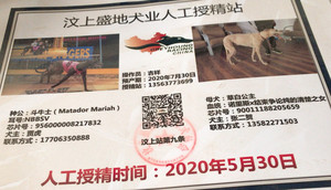 斗牛士X草白公主900111880205659.jpg