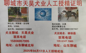 阿斯顿吉甘特X大黑 900168801097667，CXDD2012.jpg