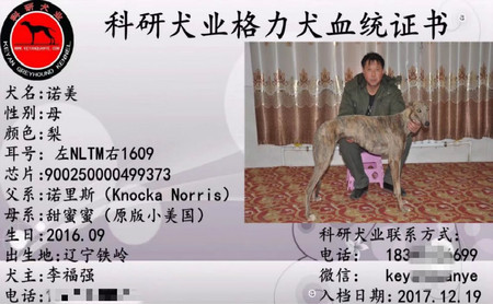 诺美 900250000499373，NLTM1609