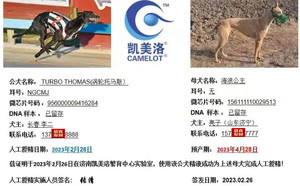 涡轮托马斯X海浪公主 156111110029513.jpg