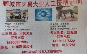 闪烁的柳树X尼克美女 941000016715084.jpg