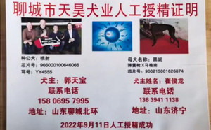 喷射X黑妮 900215001626874，J611C.jpg