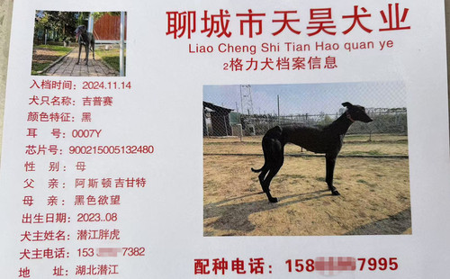 吉普赛 900215005132480