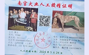 黑王X保罗少女 988000001880108.jpg