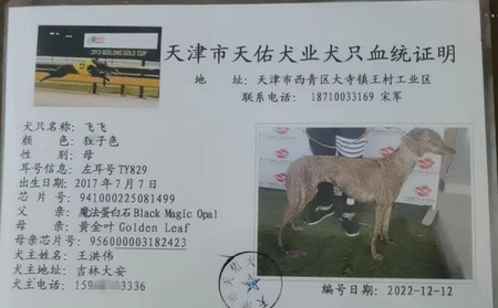 飞飞 TY829，941000225081499