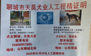 阿斯顿吉甘特X黑珍珠 941000225081731，TY960.jpg