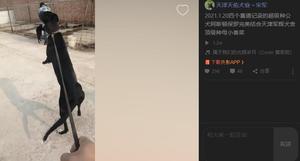 阿斯顿保罗X小香菜 156111110029559.jpg