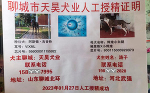 阿斯顿·吉甘特X辉煌小白腿 NGXH 717M，900115000929373.jpg