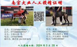 法汉X皮蛋900115002829332，NGXH722BA2.jpg