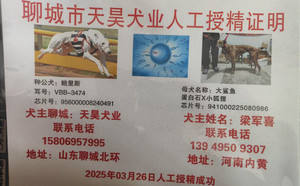 鲍里斯X大鲨鱼 941000225080986，DBHL2.jpg