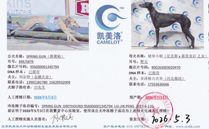 弹簧枪X健身小姐 900263003020470.jpg