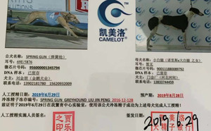 弹簧枪X小白腿 900111880089792.jpg