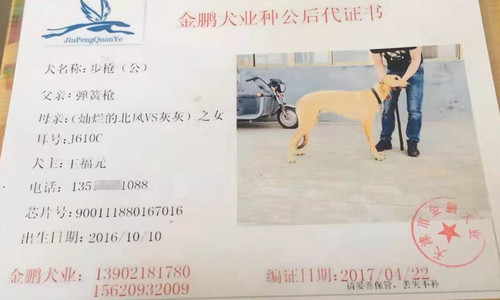 步枪 900111880167016，J610C