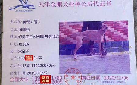 黄莺 156111110097054，J910A