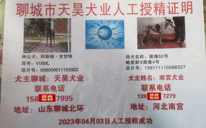 阿斯顿吉甘特X图像62号 NGXH 616M，156111110088327.jpg
