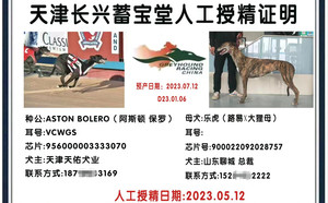 阿斯顿保罗X乐虎 900022092028757.jpg