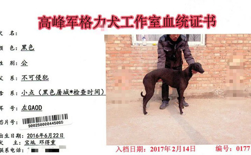 零六九 ​900250000445069，GAOD