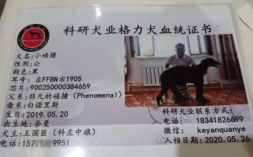 小碰撞 900250000384659，FFBN1905