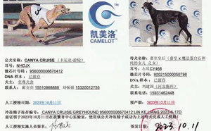 卡尼亚游轮X嘉里皇后 CY468，900215000050798.jpg