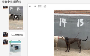 顶蜂X丽丽 900156999025322.jpg