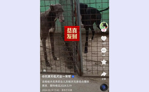 爆炸男孩X灰帕夫 941000225081800.jpg