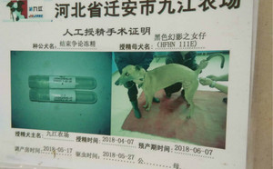 结束争论XHFHN111E.jpg