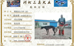 喷射X诺莉丽900250000384708，NLLL1605.jpg