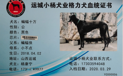 蝙蝠十万 997084360002253