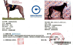 诺里斯X模特 941000015046916，HJHD.jpg