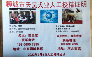 喷射X图像66号 NGXH 616MB，156111110088957.jpg