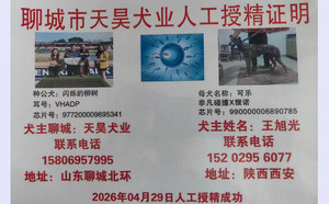 闪烁的柳树X可乐 990000006890785.jpg