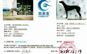 阿瓦塔X麦穗儿 156111110095723.jpg